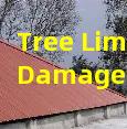 Tree Limb Roof Damage Emergency Removal Repair and Future Trimming Plan